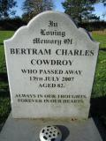 image of grave number 349629